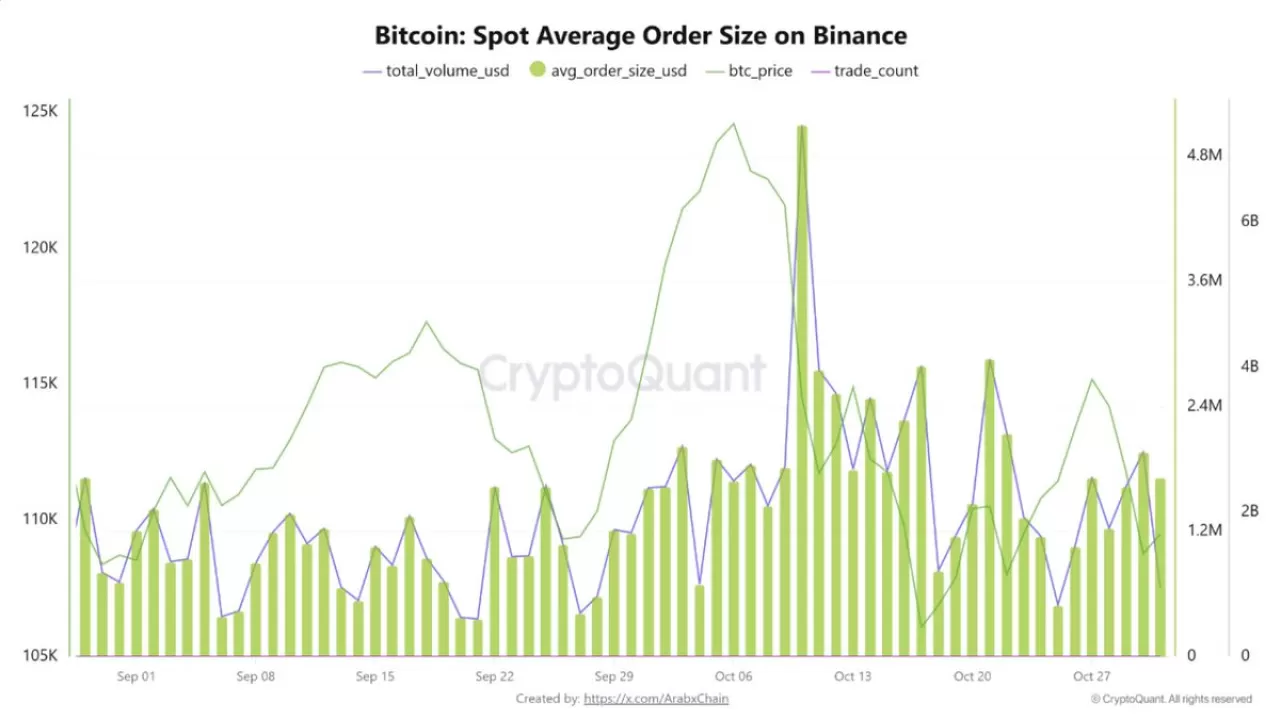 Binance'te Bitcoin İşlem Hacmi Artıyor: Balina Hareketliliği Dikkat Çekiyor