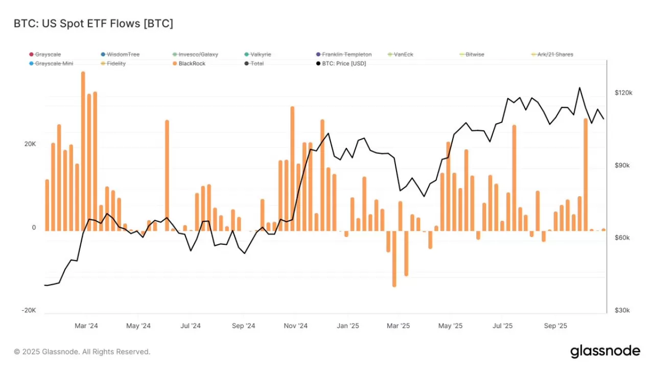 BlackRock'ın Bitcoin ETF'sinde Kurumsal Talep Yavaşlıyor