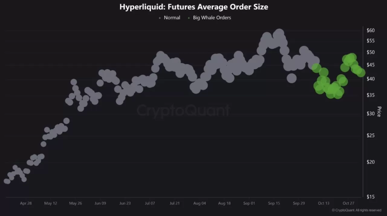 HYPE Token'ında Balina Hareketliliği: Büyük Yatırımcıların Artan İlgisi Gözlemleniyor