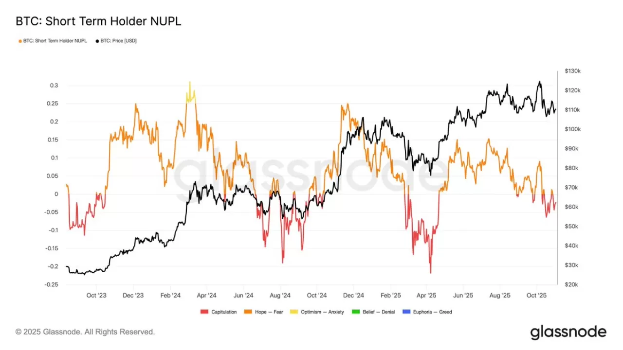 Kripto Piyasasında Kısa Vadeli Yatırımcılar Zarar Ederken, Tarih Yatırım Fırsatına İşaret Ediyor