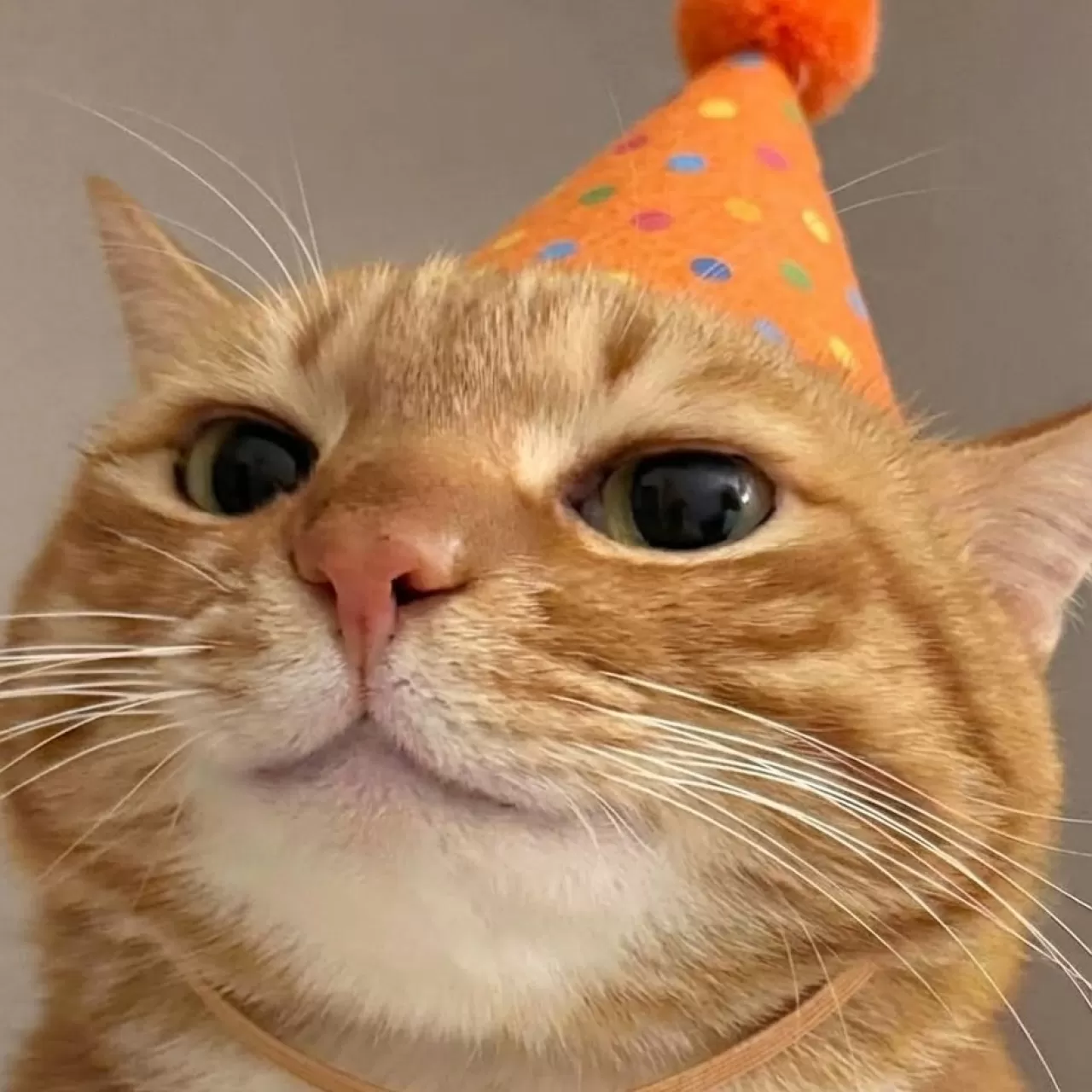 Bybit 7. Yılını Kutluyor: Kullanıcılarına Özel Etkinlikler ve Puan Toplama Fırsatı