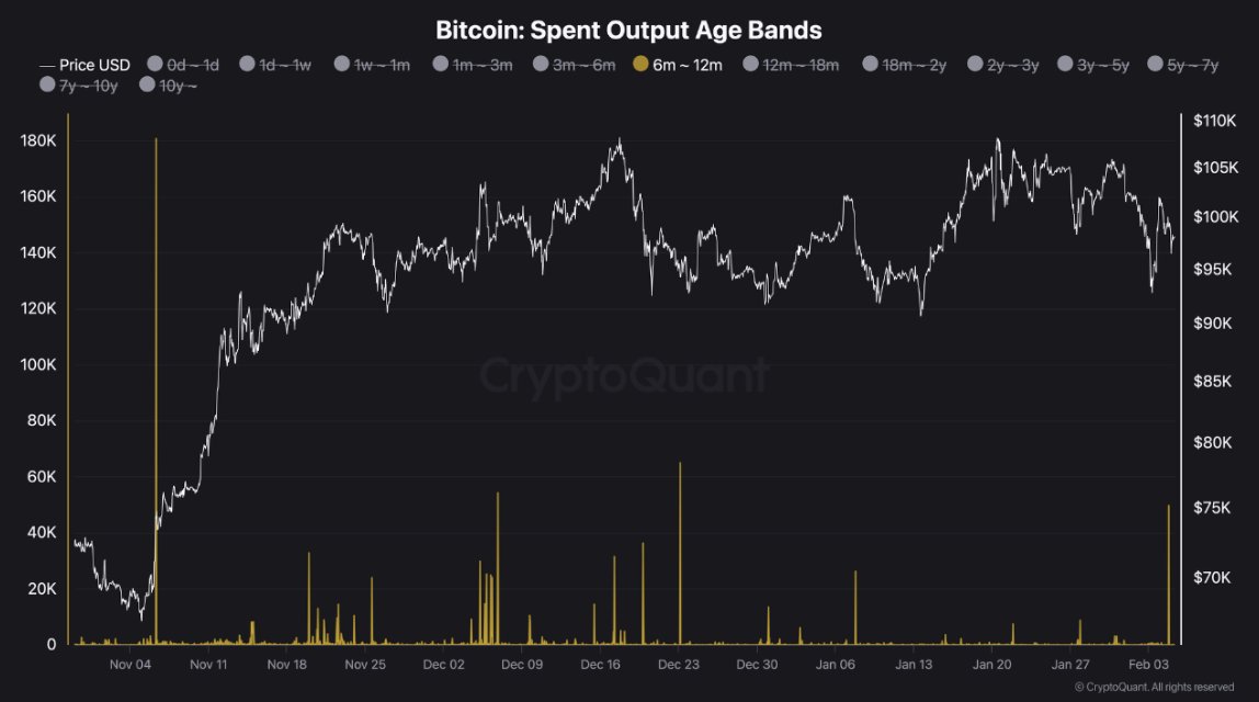 6-12 Ay Arası Bitcoin'de Kritik Hareketlilik