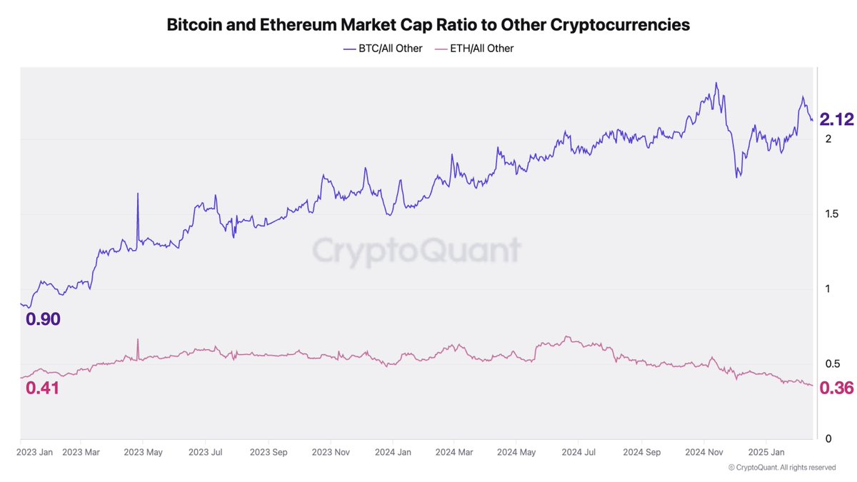 Bitcoin Piyasasında Hızlı Büyüme: Bitcoin Payı İkiye Katlandı, Ethereum Geriliyor