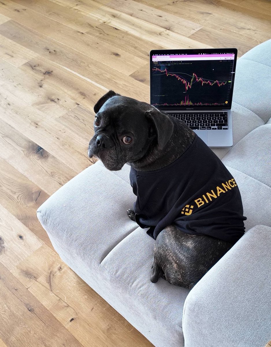 Kripto Para Borsası Binance'de İlginç Deney: Köpek Yönetiminde Portföy Performansı