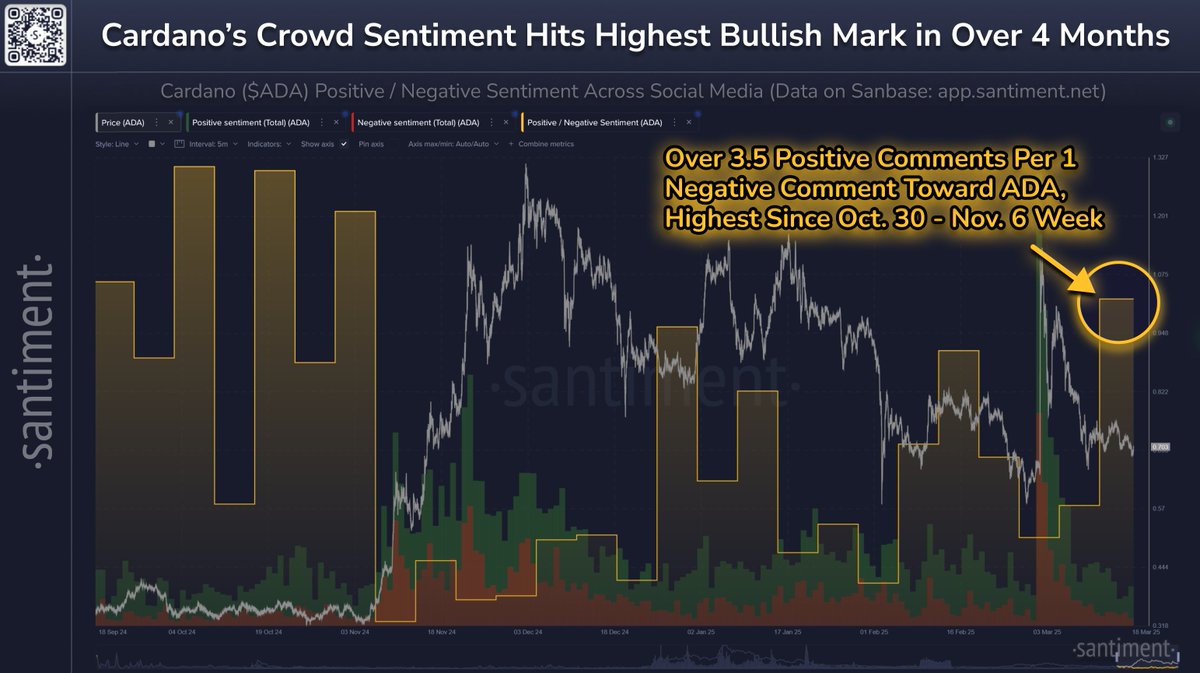 Cardano'da Sosyal Medyada Artan Olumlu Hava Akımları