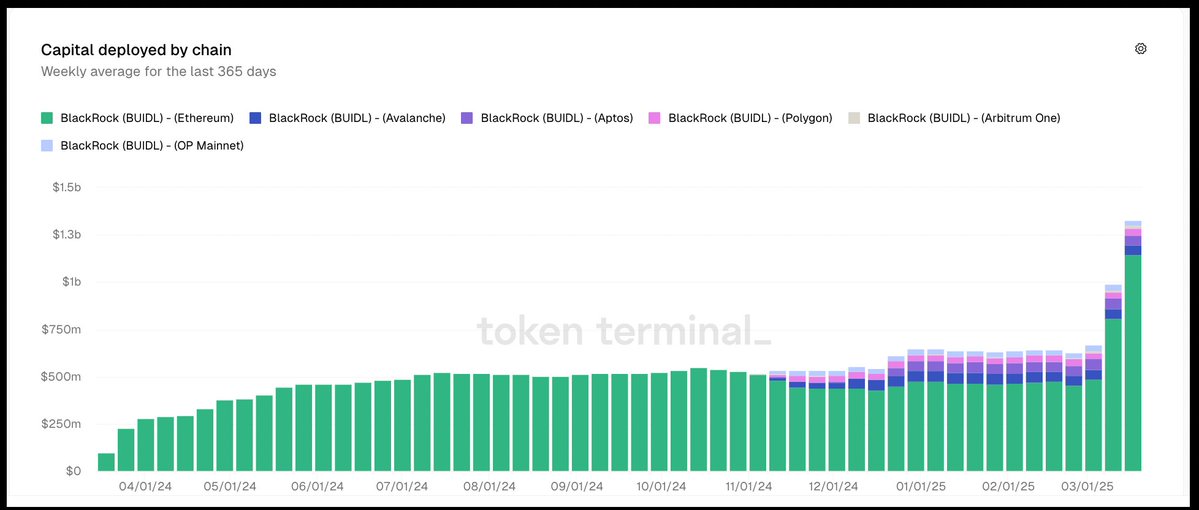 BlackRock'ın BUIDL Fonu Rekor Miktarda Ethereum Tutuyor