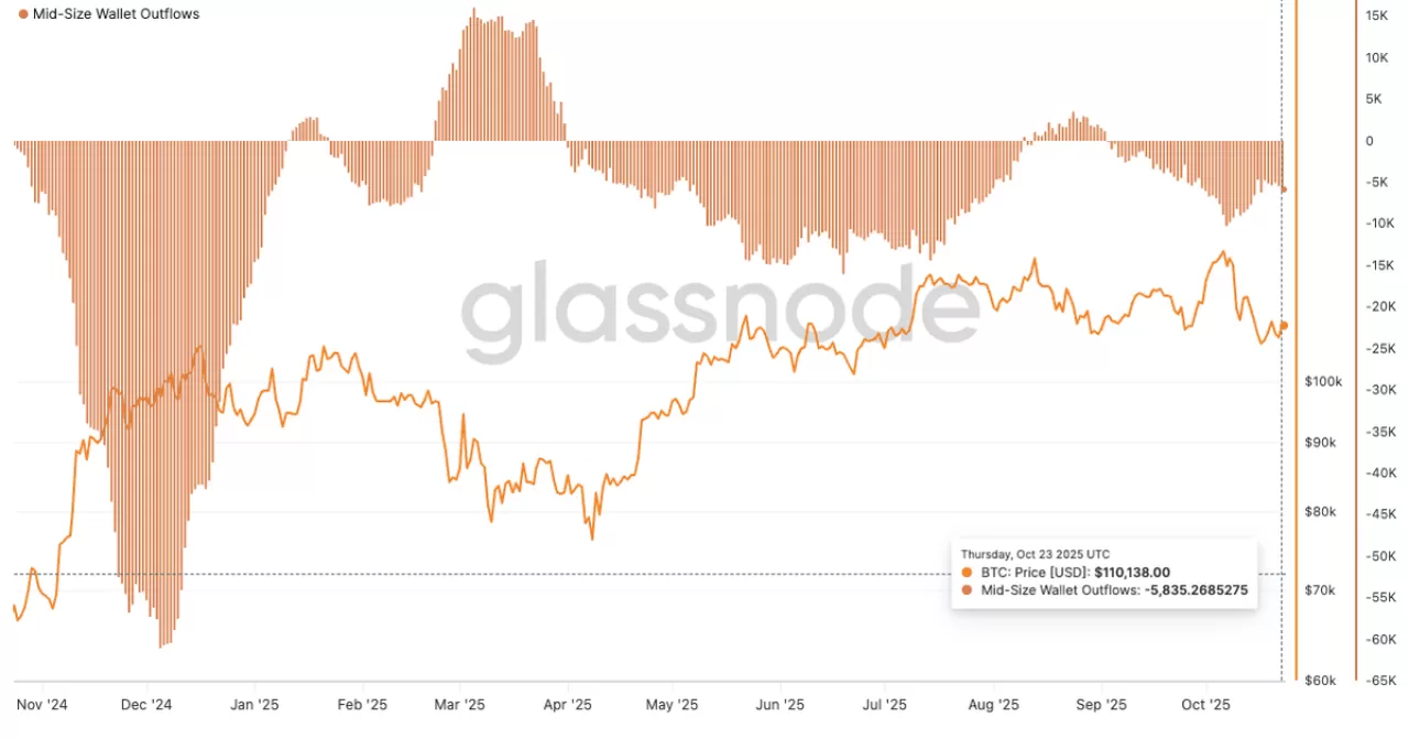 Küçük ve Orta Ölçekli Bitcoin Yatırımcıları Satış Yapıyor: Glassnode Verileri Analizi